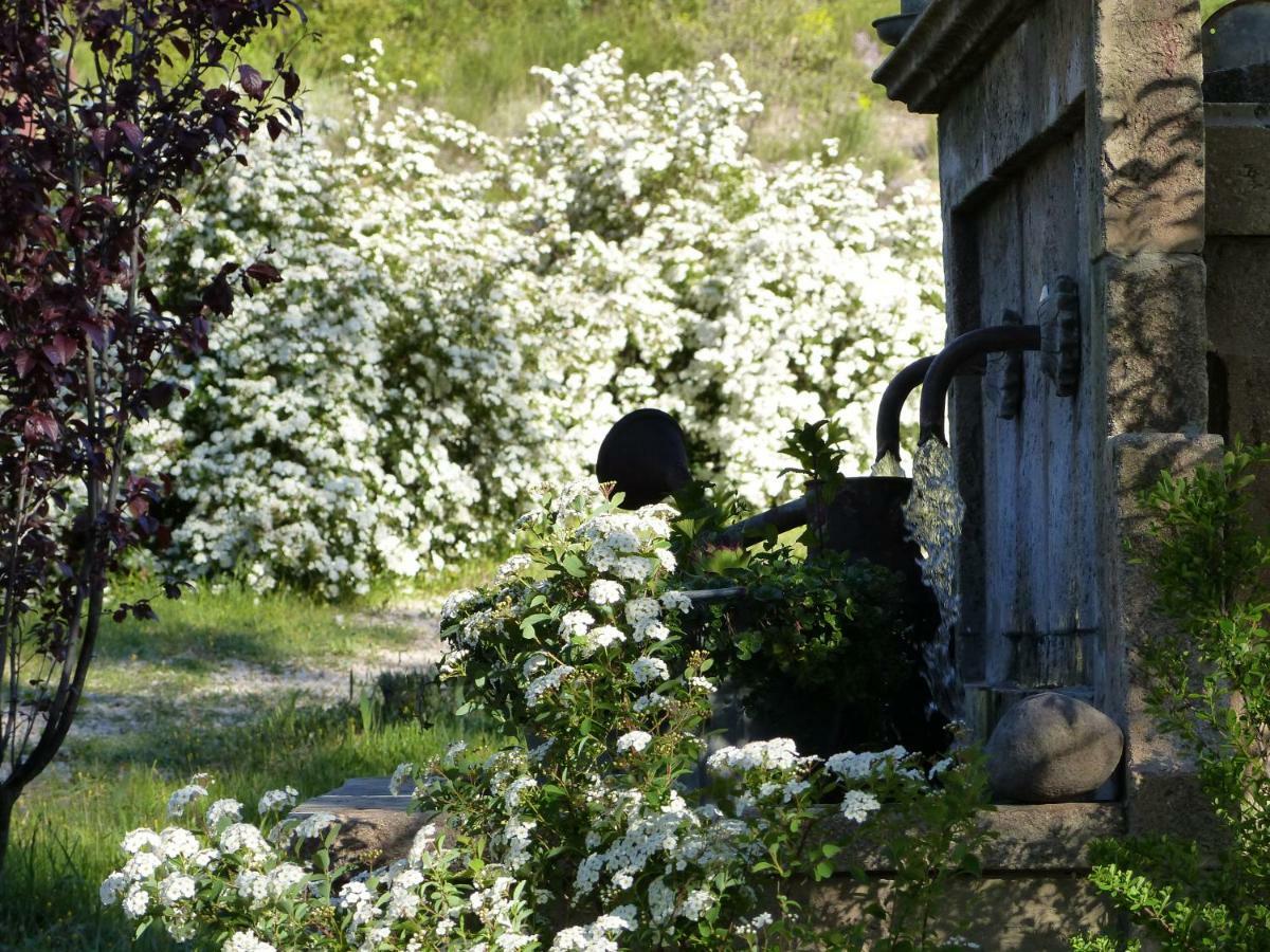 Pigeonnier Des Banons Bed and Breakfast Puimoisson Eksteriør billede